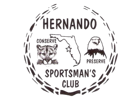 Newsletter – March 2026